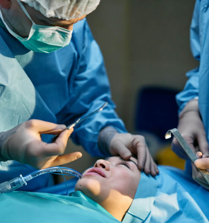 A veterinarian taking care of a cat